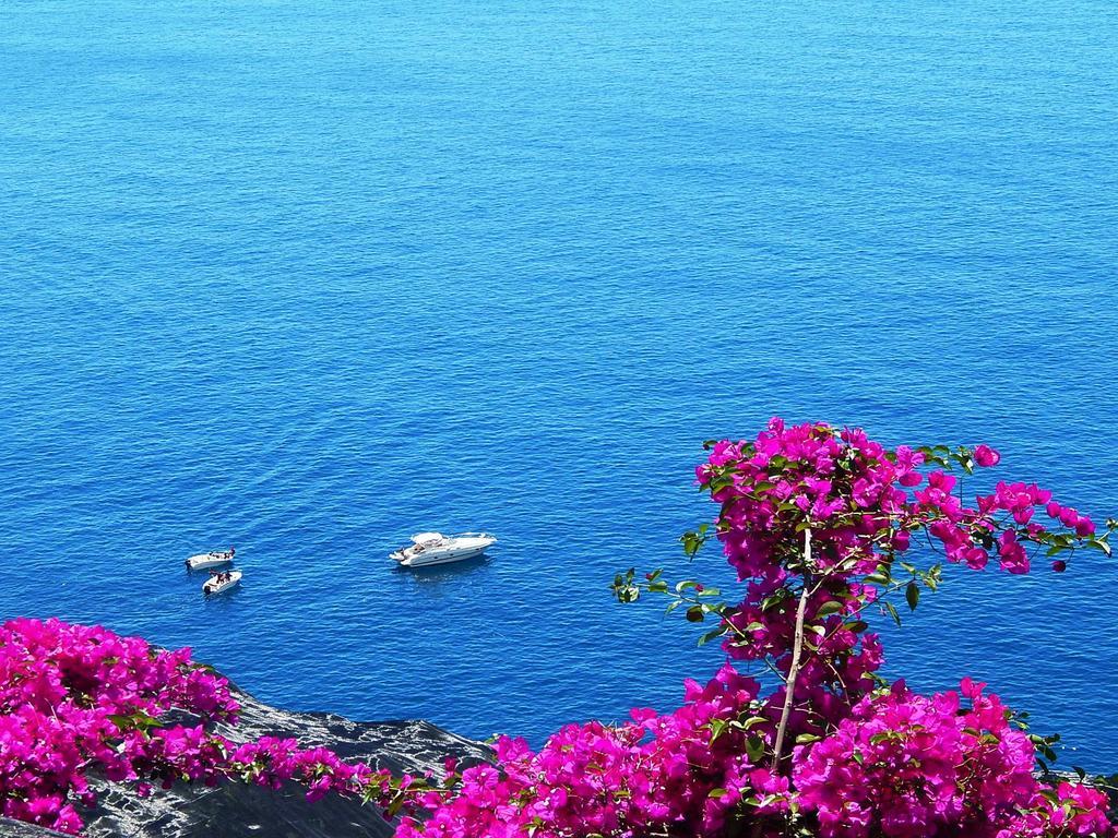 Amalfi View Cottage 外观 照片