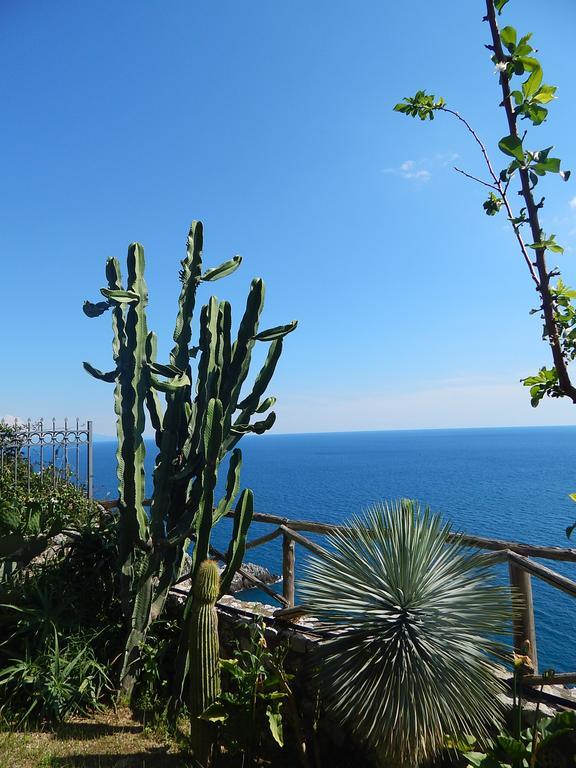 Amalfi View Cottage 外观 照片